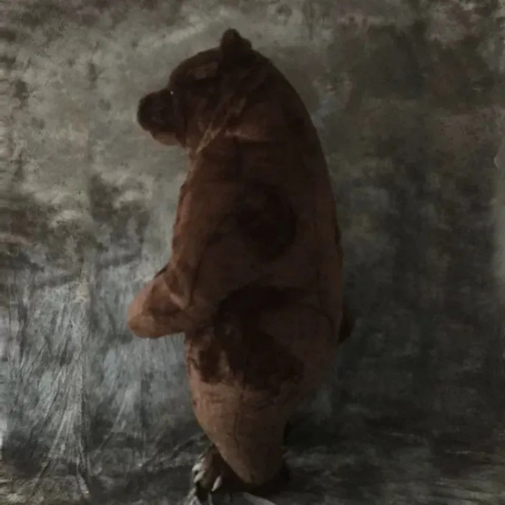 Inflatable Brown Bear Mascot C - огляд і ціна Costumes